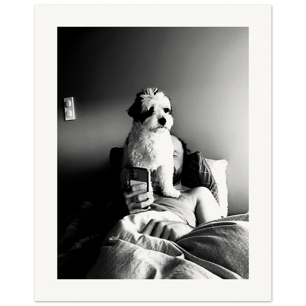 Svart-hvitt kunstfotografi av en hund som sitter foran en person i en seng og blokkerer utsynet til en mobiltelefon. Motivet utforsker kontrasten mellom nærvær og skjermtid gjennom lys, skygge og hverdagslige øyeblikk.