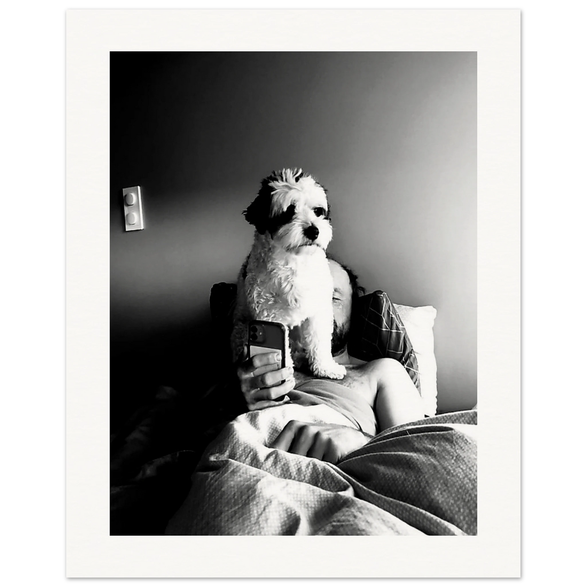 Svart-hvitt kunstfotografi av en hund som sitter foran en person i en seng og blokkerer utsynet til en mobiltelefon. Motivet utforsker kontrasten mellom nærvær og skjermtid gjennom lys, skygge og hverdagslige øyeblikk.