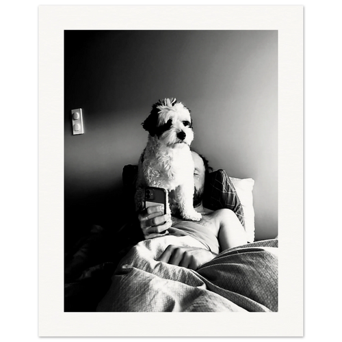 Svart-hvitt kunstfotografi av en hund som sitter foran en person i en seng og blokkerer utsynet til en mobiltelefon. Motivet utforsker kontrasten mellom nærvær og skjermtid gjennom lys, skygge og hverdagslige øyeblikk.