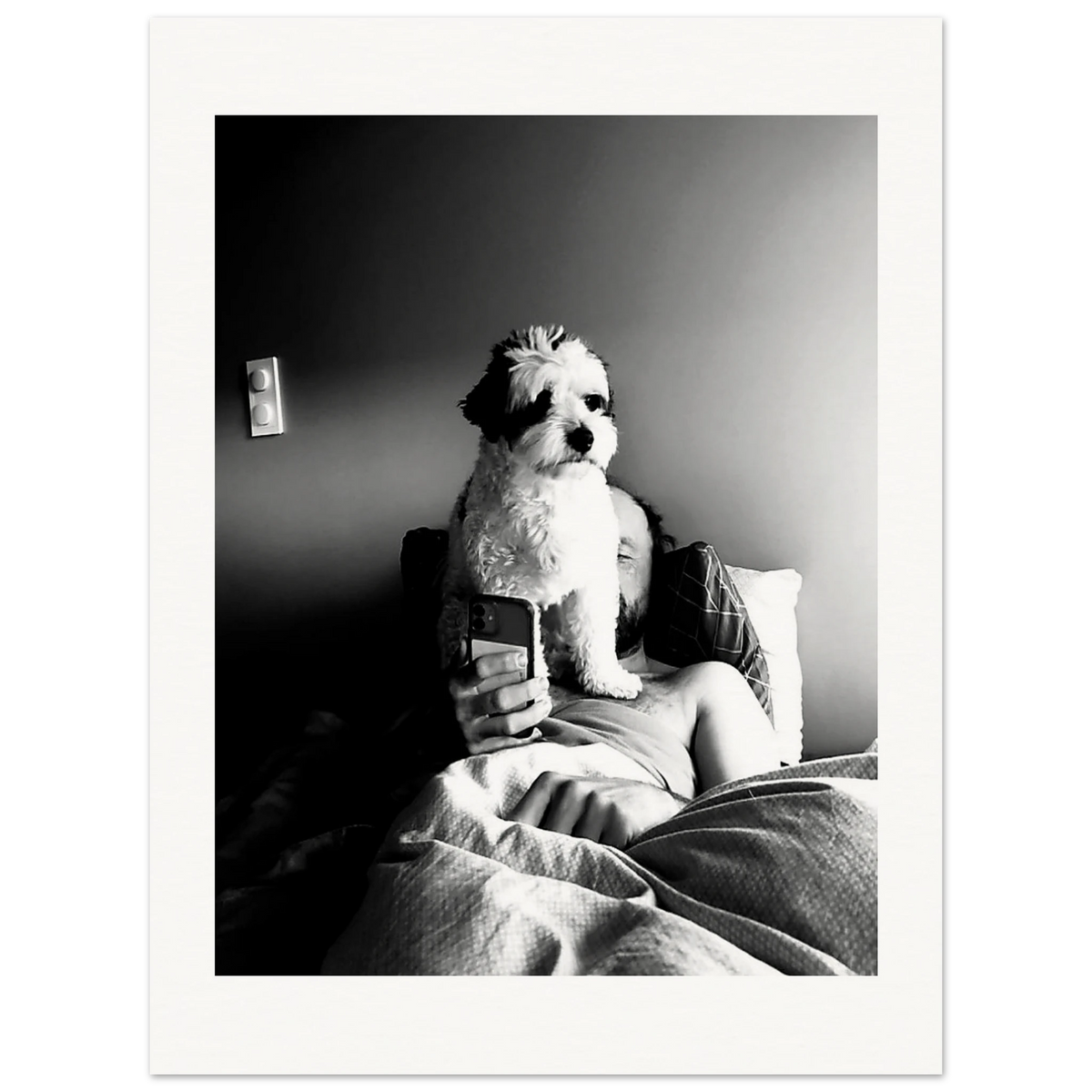 Svart-hvitt kunstfotografi av en hund som sitter foran en person i en seng og blokkerer utsynet til en mobiltelefon. Motivet utforsker kontrasten mellom nærvær og skjermtid gjennom lys, skygge og hverdagslige øyeblikk.