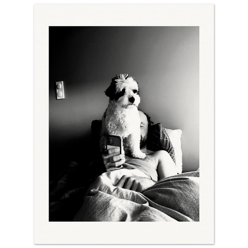 Svart-hvitt kunstfotografi av en hund som sitter foran en person i en seng og blokkerer utsynet til en mobiltelefon. Motivet utforsker kontrasten mellom nærvær og skjermtid gjennom lys, skygge og hverdagslige øyeblikk.