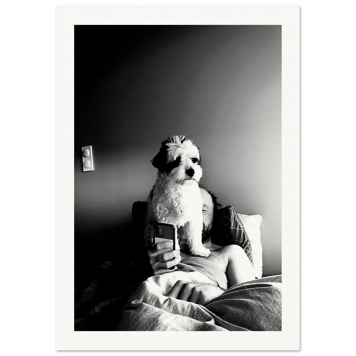Svart-hvitt kunstfotografi av en hund som sitter foran en person i en seng og blokkerer utsynet til en mobiltelefon. Motivet utforsker kontrasten mellom nærvær og skjermtid gjennom lys, skygge og hverdagslige øyeblikk.