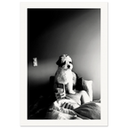 Svart-hvitt kunstfotografi av en hund som sitter foran en person i en seng og blokkerer utsynet til en mobiltelefon. Motivet utforsker kontrasten mellom nærvær og skjermtid gjennom lys, skygge og hverdagslige øyeblikk.