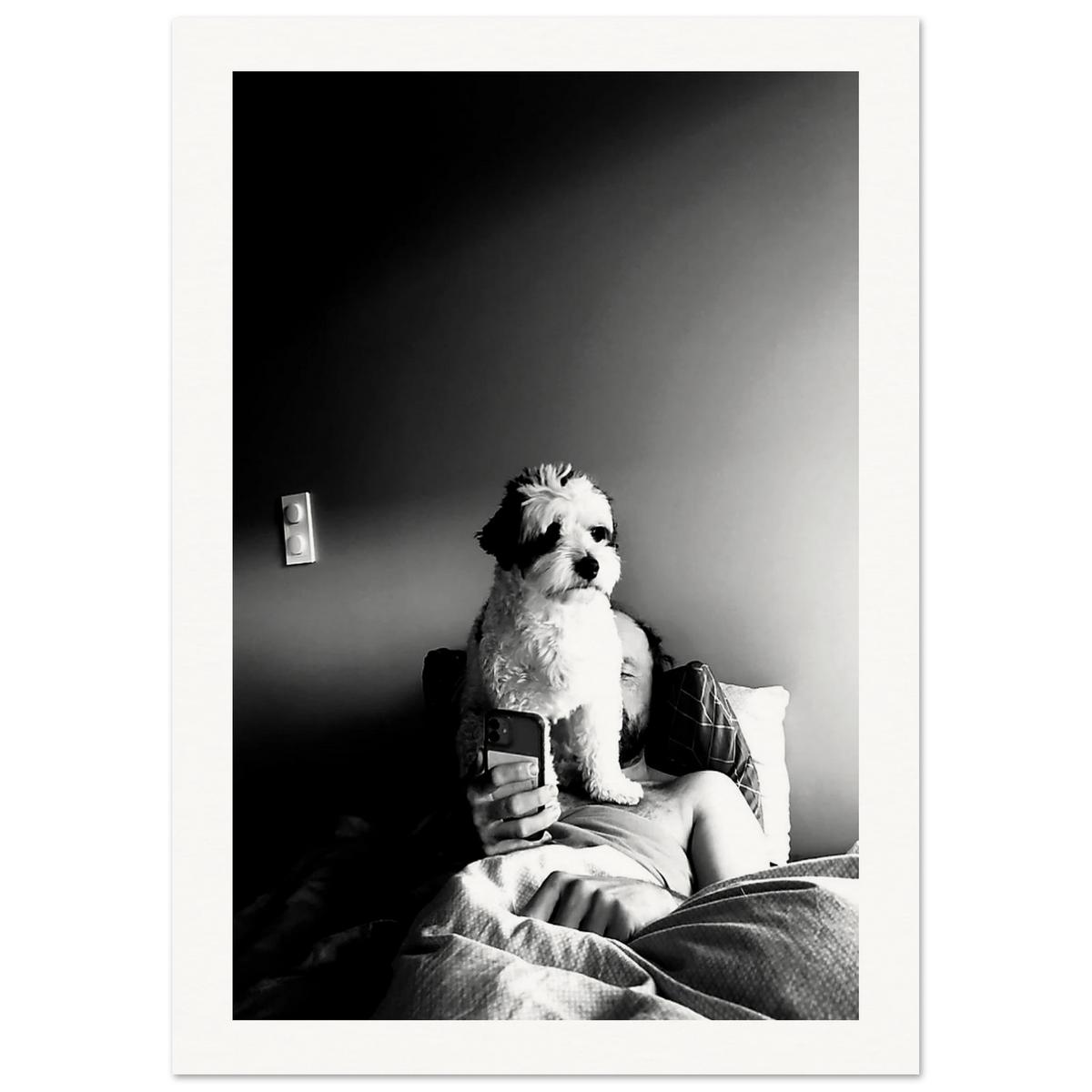 Svart-hvitt kunstfotografi av en hund som sitter foran en person i en seng og blokkerer utsynet til en mobiltelefon. Motivet utforsker kontrasten mellom nærvær og skjermtid gjennom lys, skygge og hverdagslige øyeblikk.